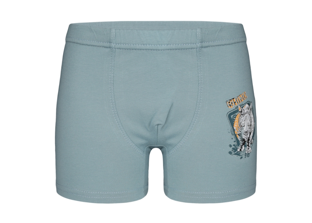Boy Kıds Boxer