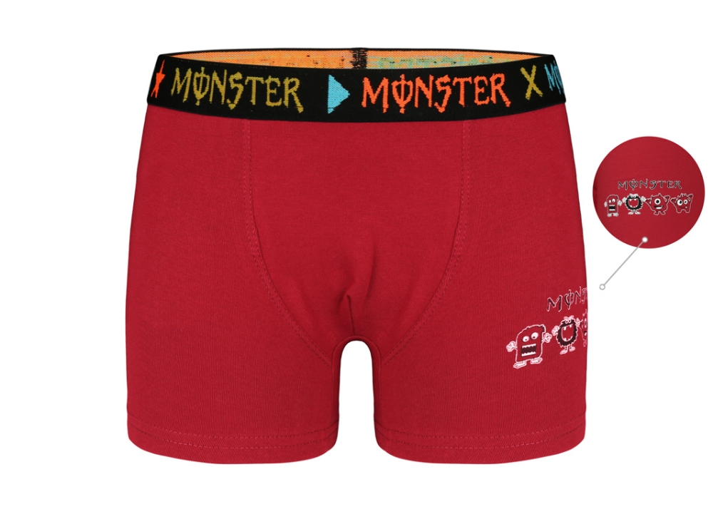 Erkek Çocuk Boxer