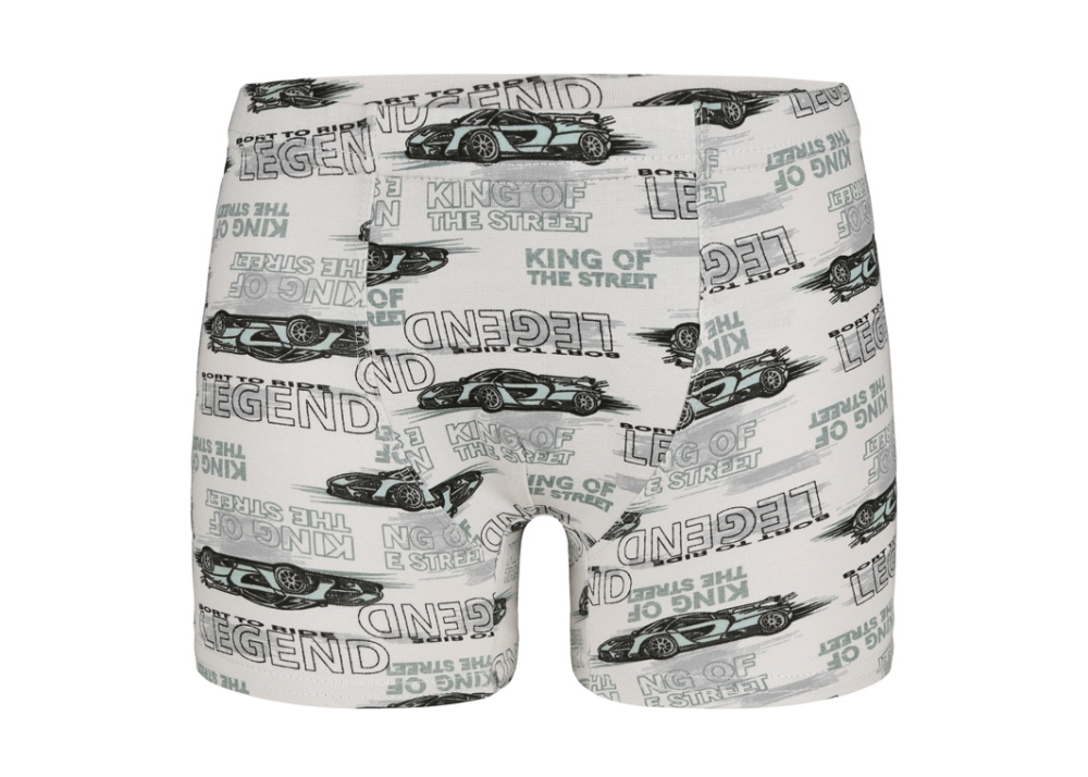 Erkek Çocuk Boxer