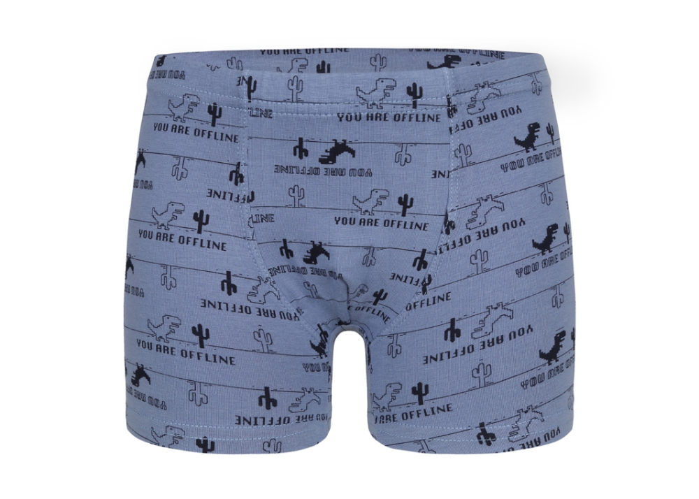Erkek Çocuk Boxer