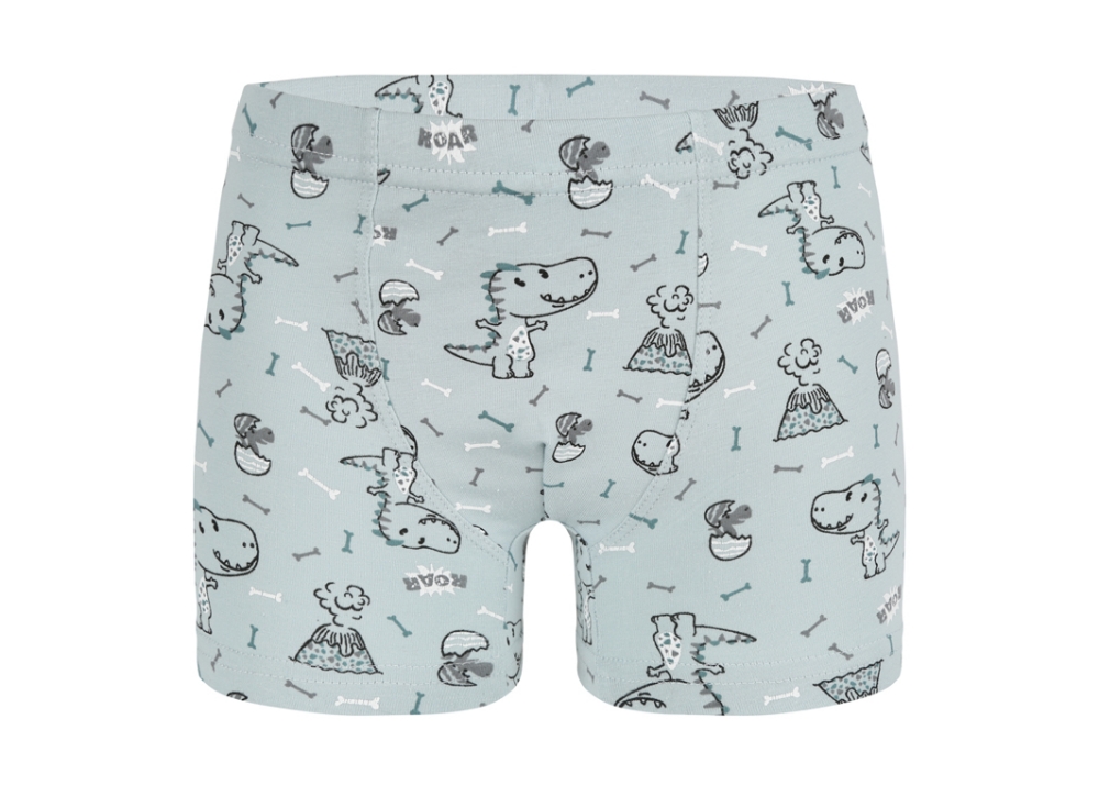 Erkek Çocuk Boxer